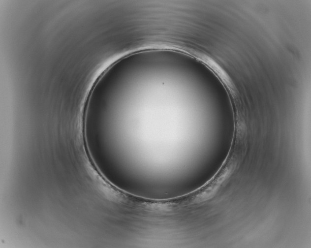 X0000112061004200908111408