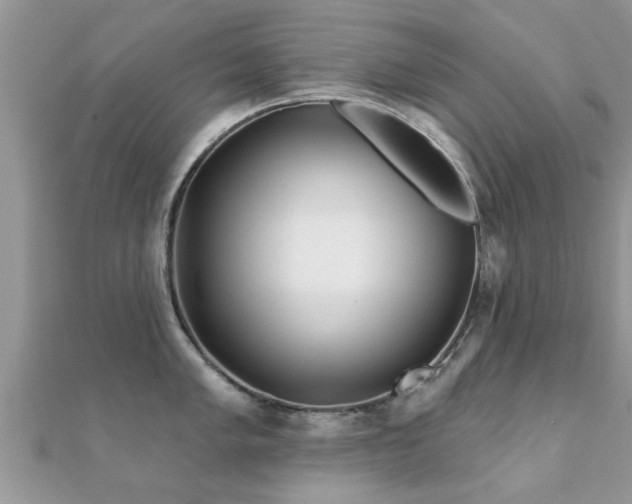 X0000112061005200908111408