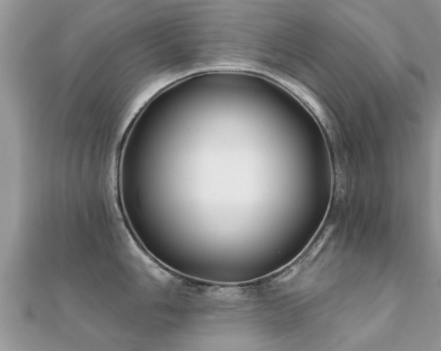 X0000112061006200908111408