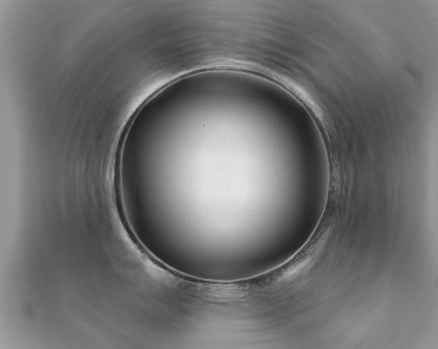 X0000112061007200908111408