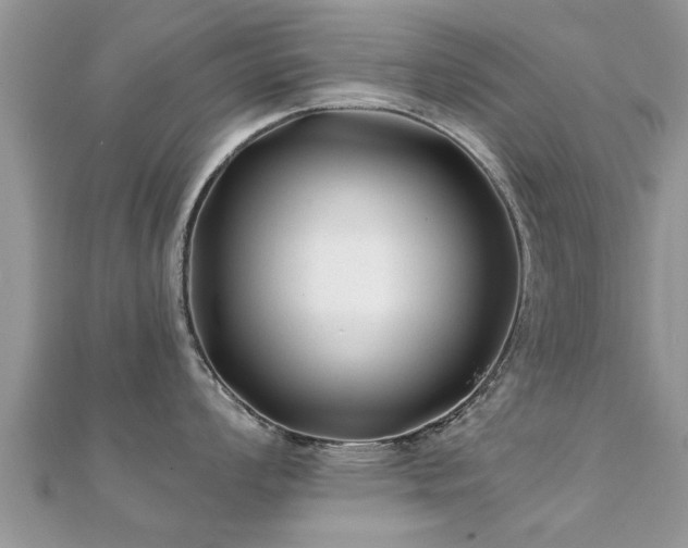 X0000112061008200908111408