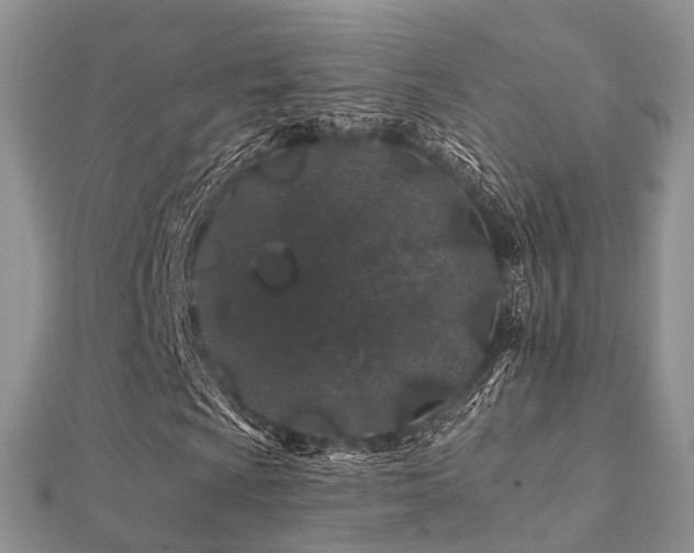 X0000112061009200908111407