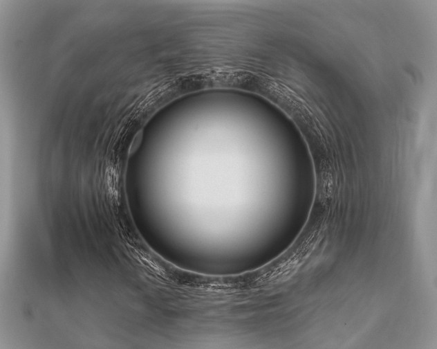 X0000112061010200908111407