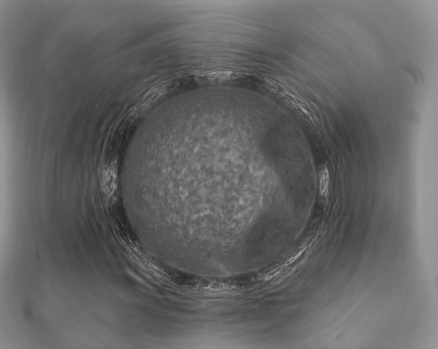 X0000112061011200908111407