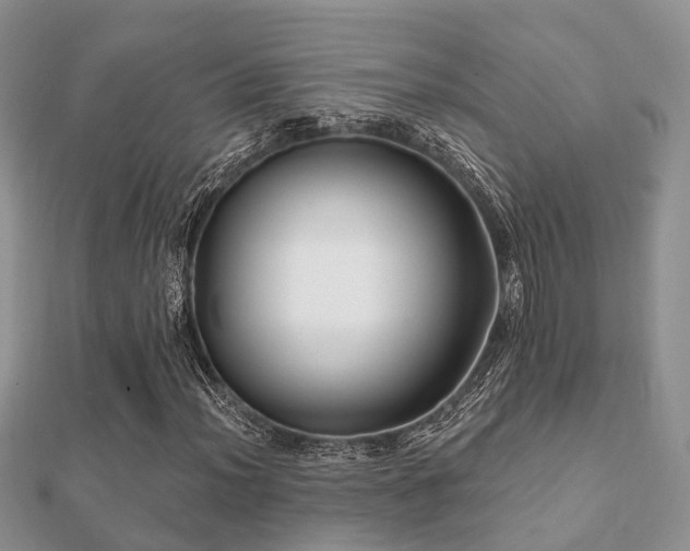 X0000112061012200908111407