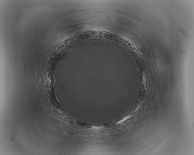 X0000112061013200908111407