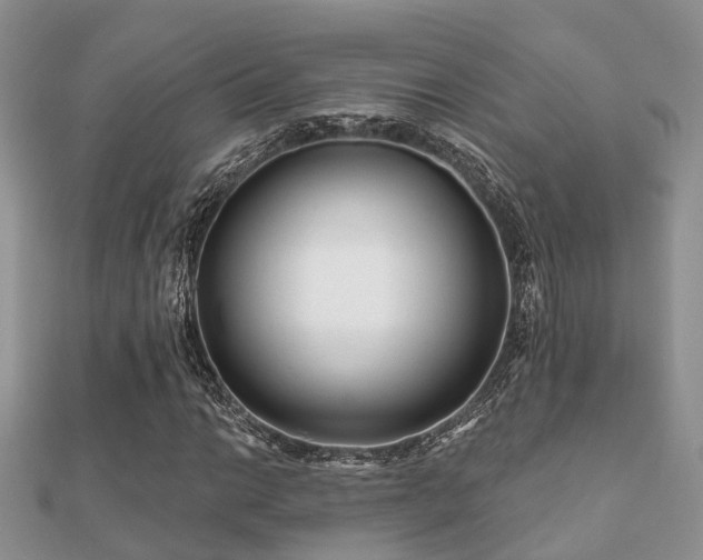 X0000112061014200908111407
