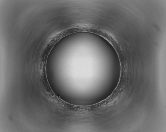 X0000112061016200908111407