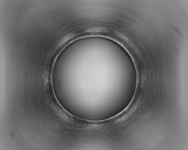 X0000112061017200908111407