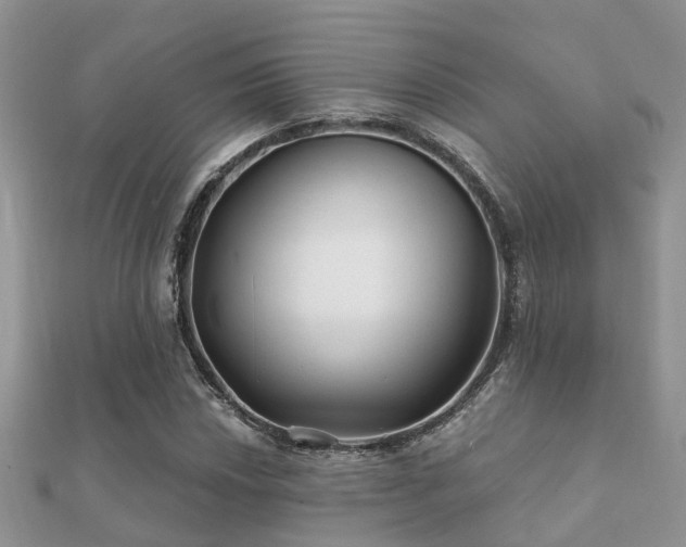 X0000112061018200908111407