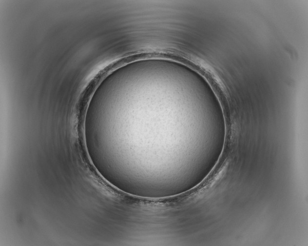 X0000112061019200908111407