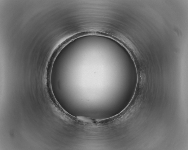X0000112061020200908111407