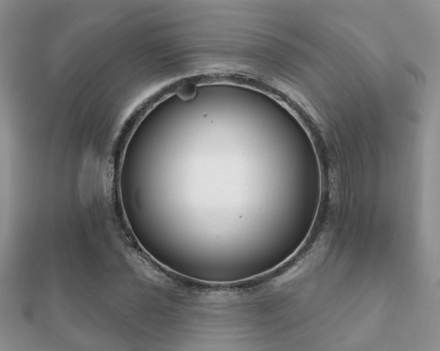 X0000112061021200908111407