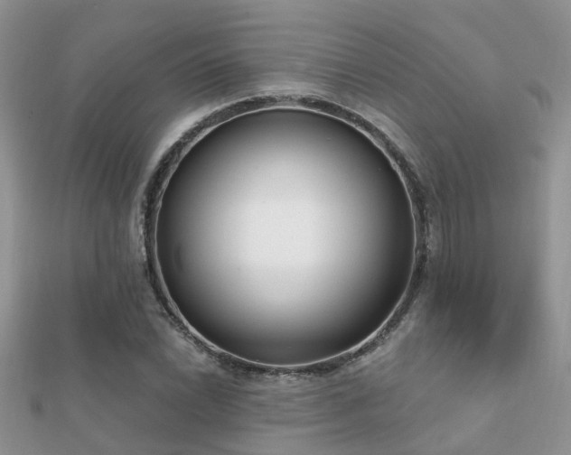 X0000112061022200908111407