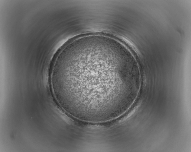 X0000112061023200908111407