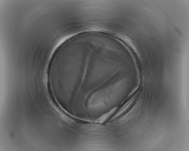 X0000112061024200908111407