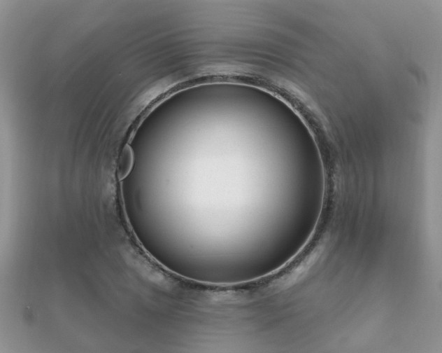 X0000112061025200908111407
