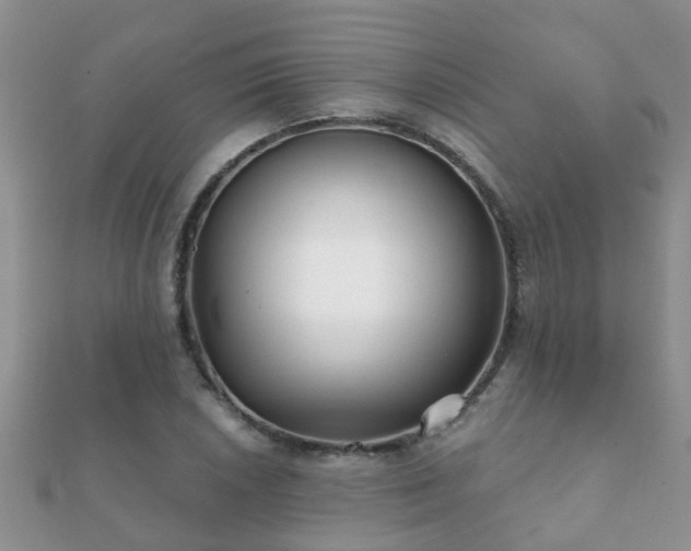 X0000112061026200908111407