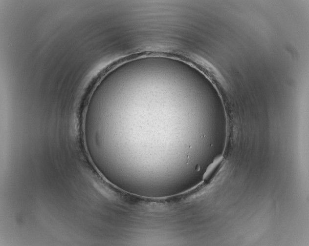 X0000112061027200908111407