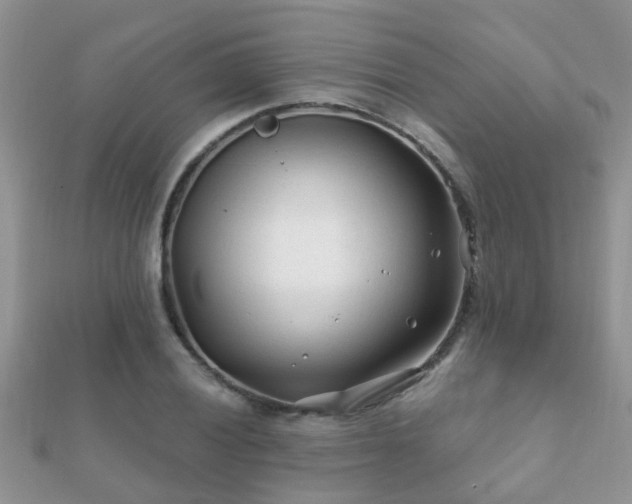 X0000112061028200908111407