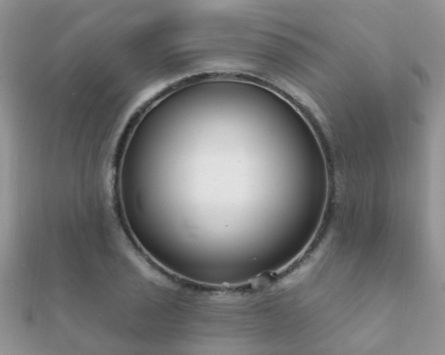 X0000112061029200908111407