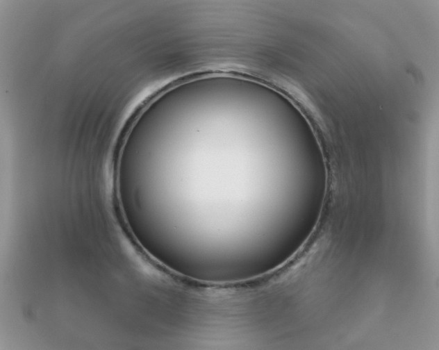 X0000112061032200908111407