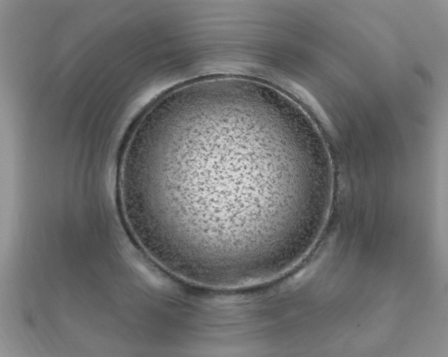 X0000112061035200908111408