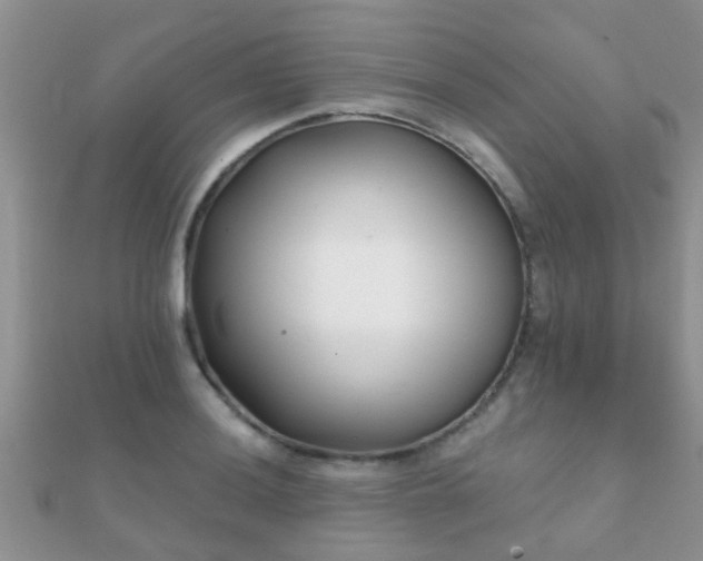 X0000112061036200908111408