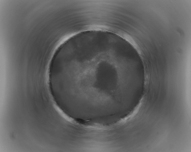X0000112061037200908111408