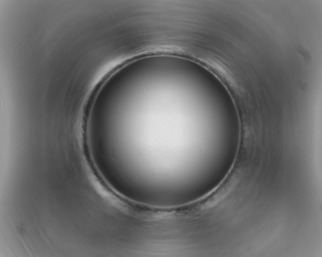 X0000112061038200908111408