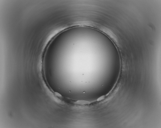 X0000112061040200908111408
