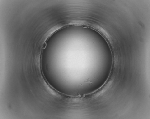 X0000112061041200908111408