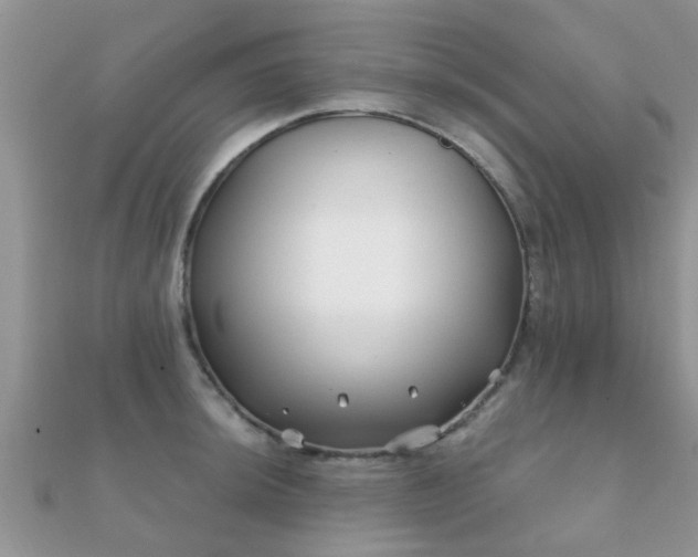X0000112061044200908111408