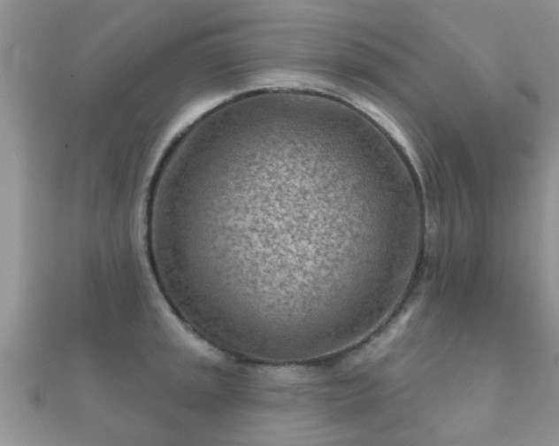 X0000112061045200908111408