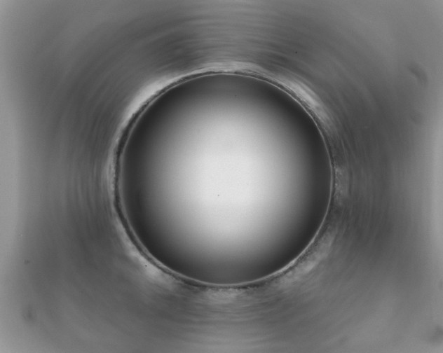 X0000112061046200908111408