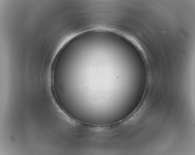 X0000112061048200908111408