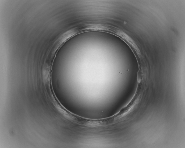 X0000112061049200908111408