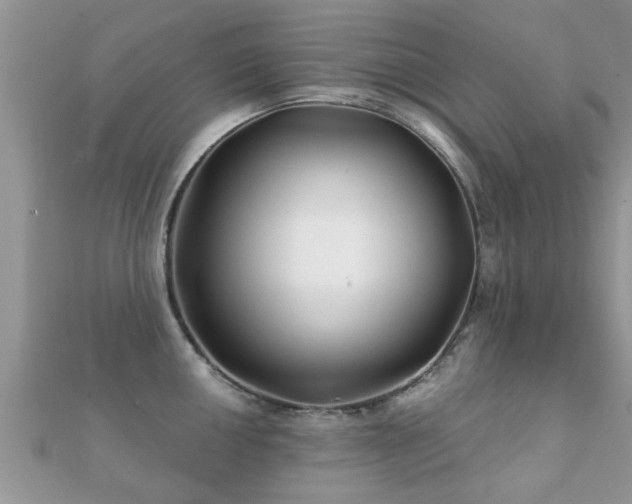 X0000112061050200908111408