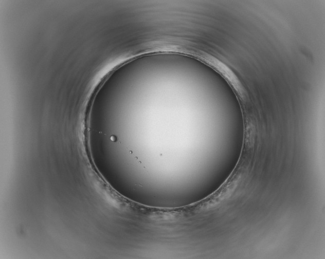 X0000112061051200908111408