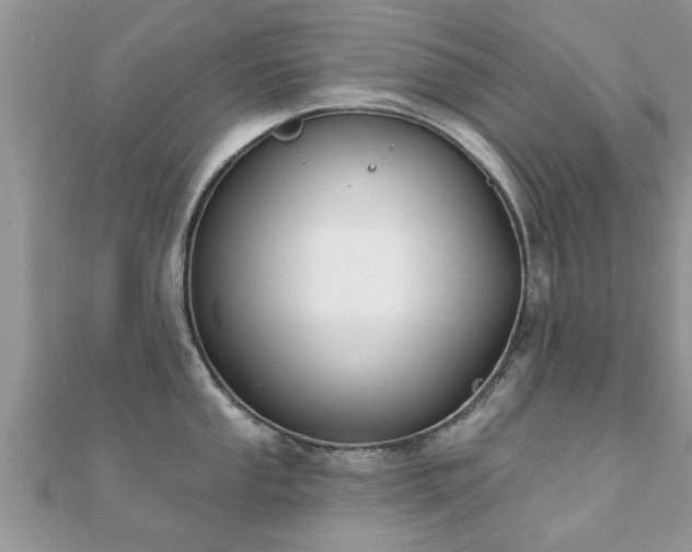 X0000112061053200908111408
