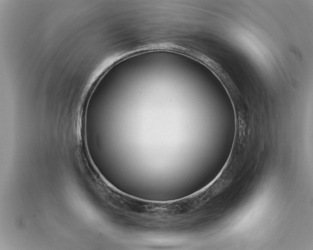 X0000112061054200908111408
