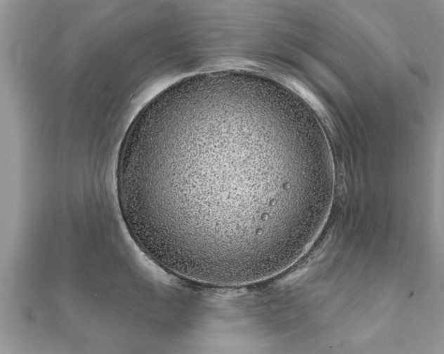 X0000112061055200908111408