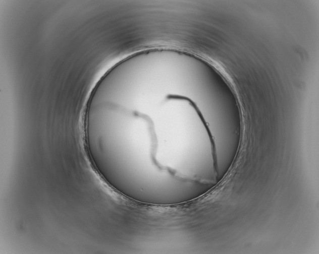 X0000112061056200908111408