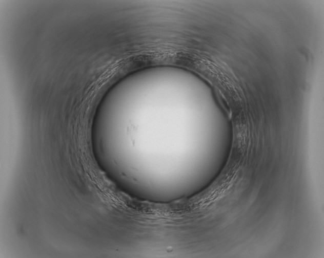 X0000112061057200908111407