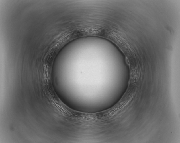 X0000112061058200908111407