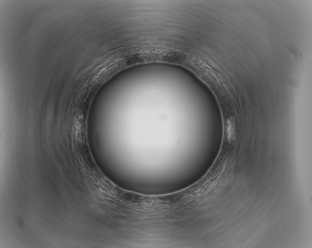 X0000112061059200908111407