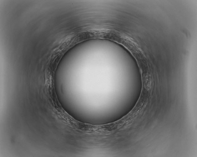 X0000112061061200908111407