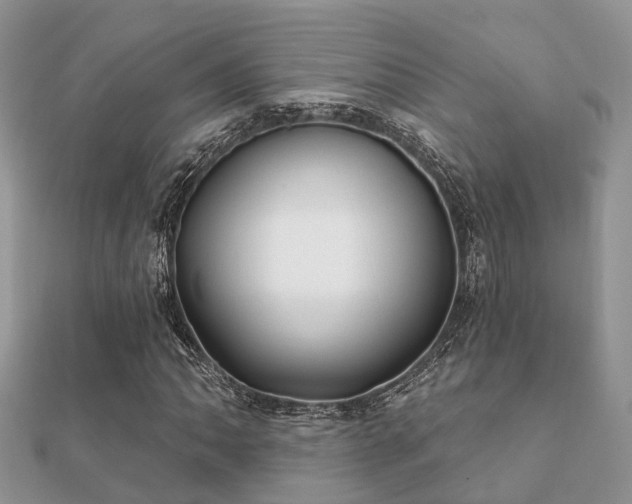X0000112061062200908111407