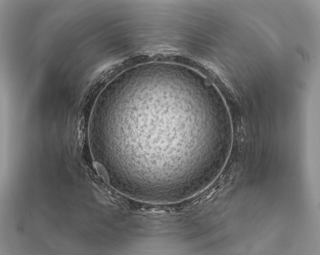 X0000112061063200908111407