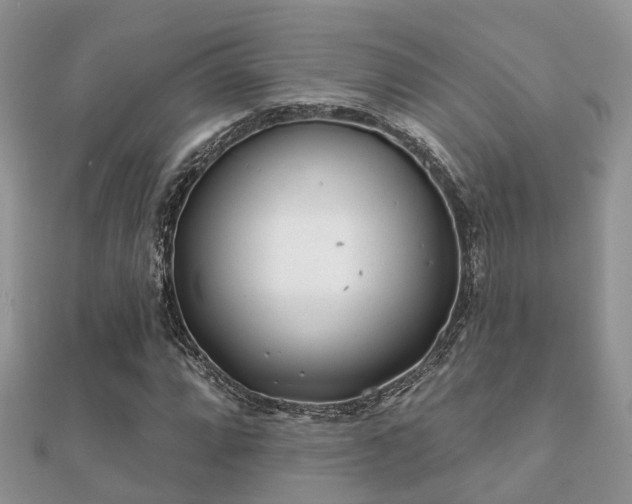 X0000112061064200908111407